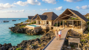 The Eyes of Zanzibar как инструмент для диверсификации портфеля: анализ рисков и ликвидности